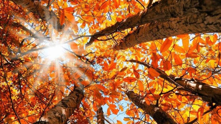 إليكم طقس الـ”Weekend”