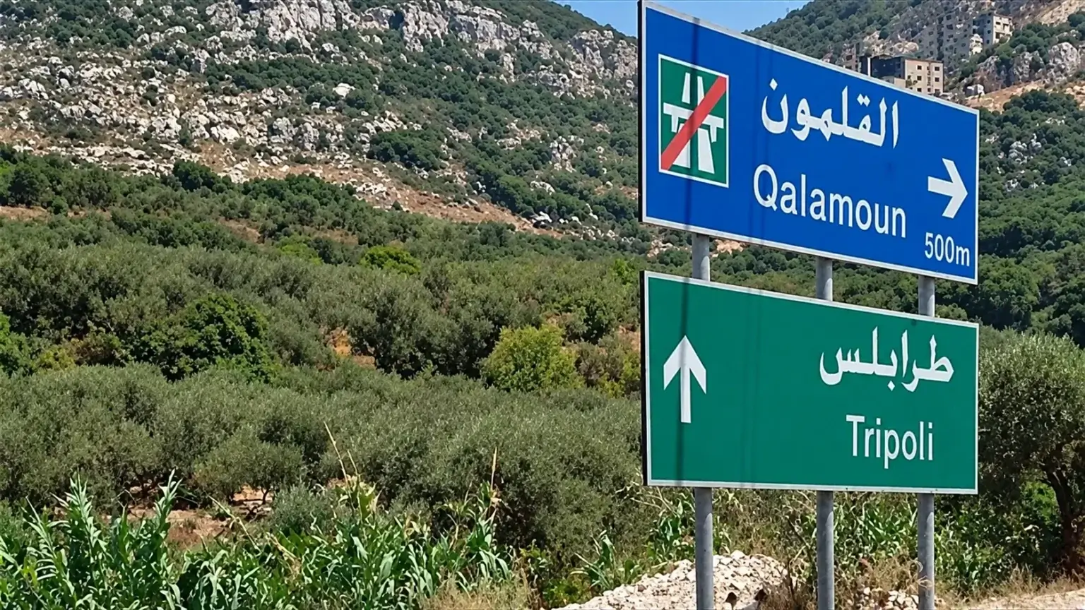 بعد رصد ومتابعة… شعبة المعلومات توقع بسوريين مطلوبين للقضاء